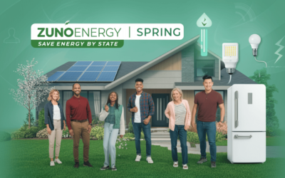Spring Into Savings: Energy Tips by State 2025 | ZunoEnergy